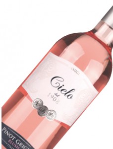 pinot-grigio-blush-rose-italie-veneto (1) - fles wijn bezorgen
