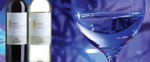 Ilauri-Trebbiano-d'Abruzzo - fles wijn bezorgen