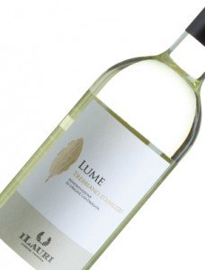 LUME-Trebbiano-d'Abruzzo - fles wijn bezorgen